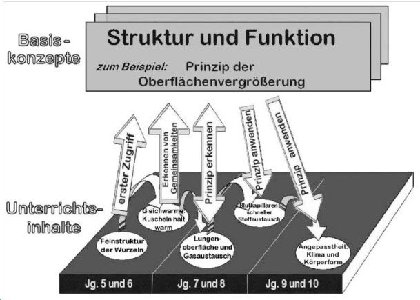 Basiskonzepte1